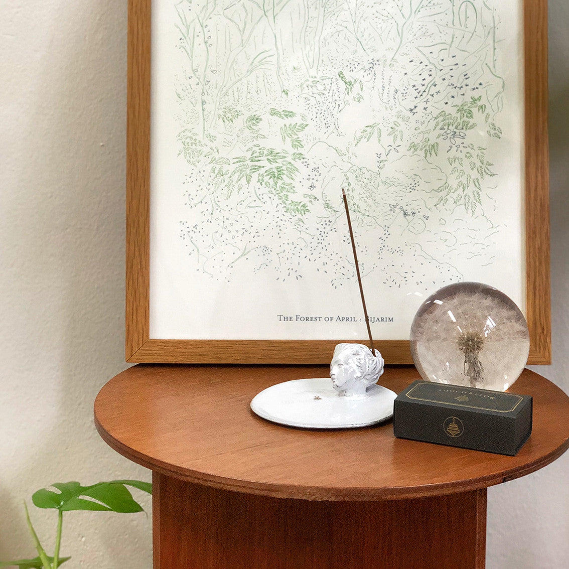 비자림 포스터 - PAPER PLATE 페이퍼플레이트 - CAVA LIFE