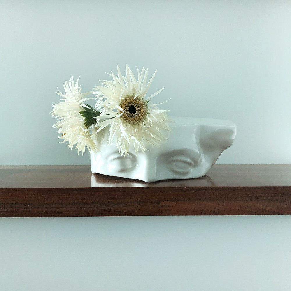 컷 아이즈 - 2299B1 이구비원 - CAVA LIFE