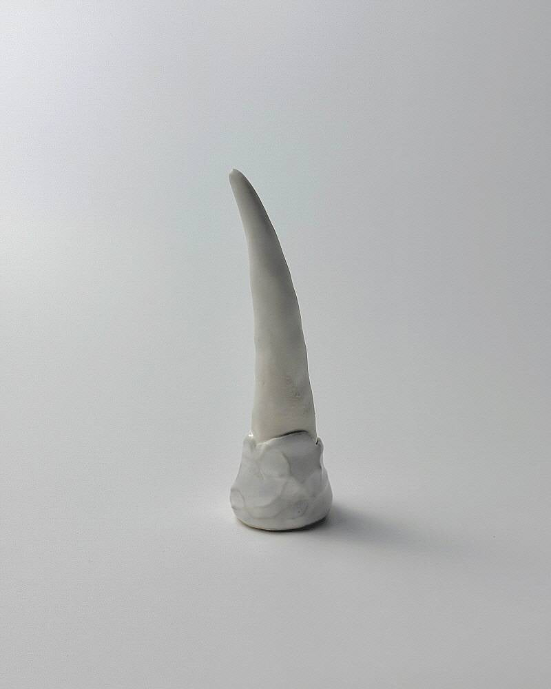 Fang of dragon white