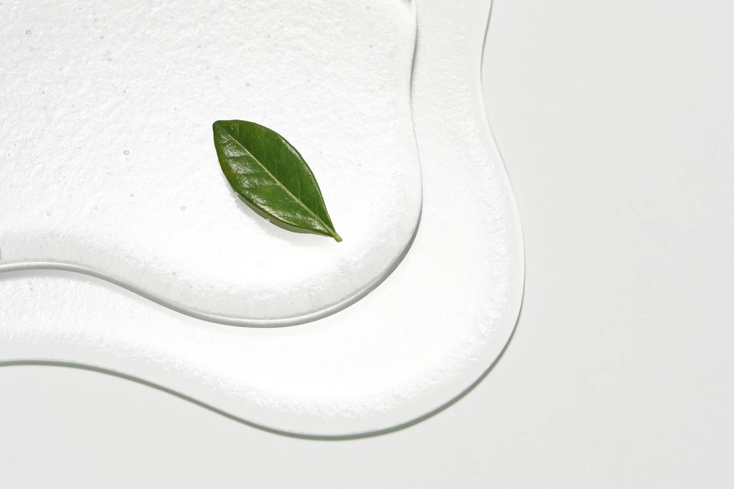 スプレッシュプレート