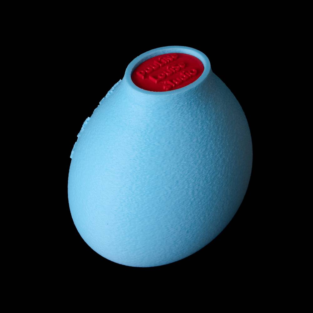 2025 푸른 뱀의 해 Edition