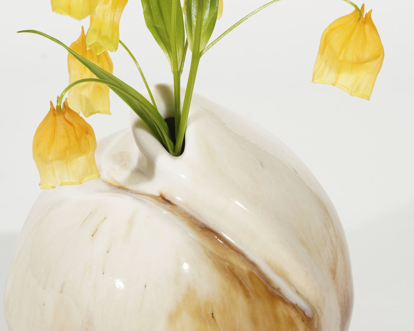 씨앗 - Momolim 모모림 - CAVA LIFE