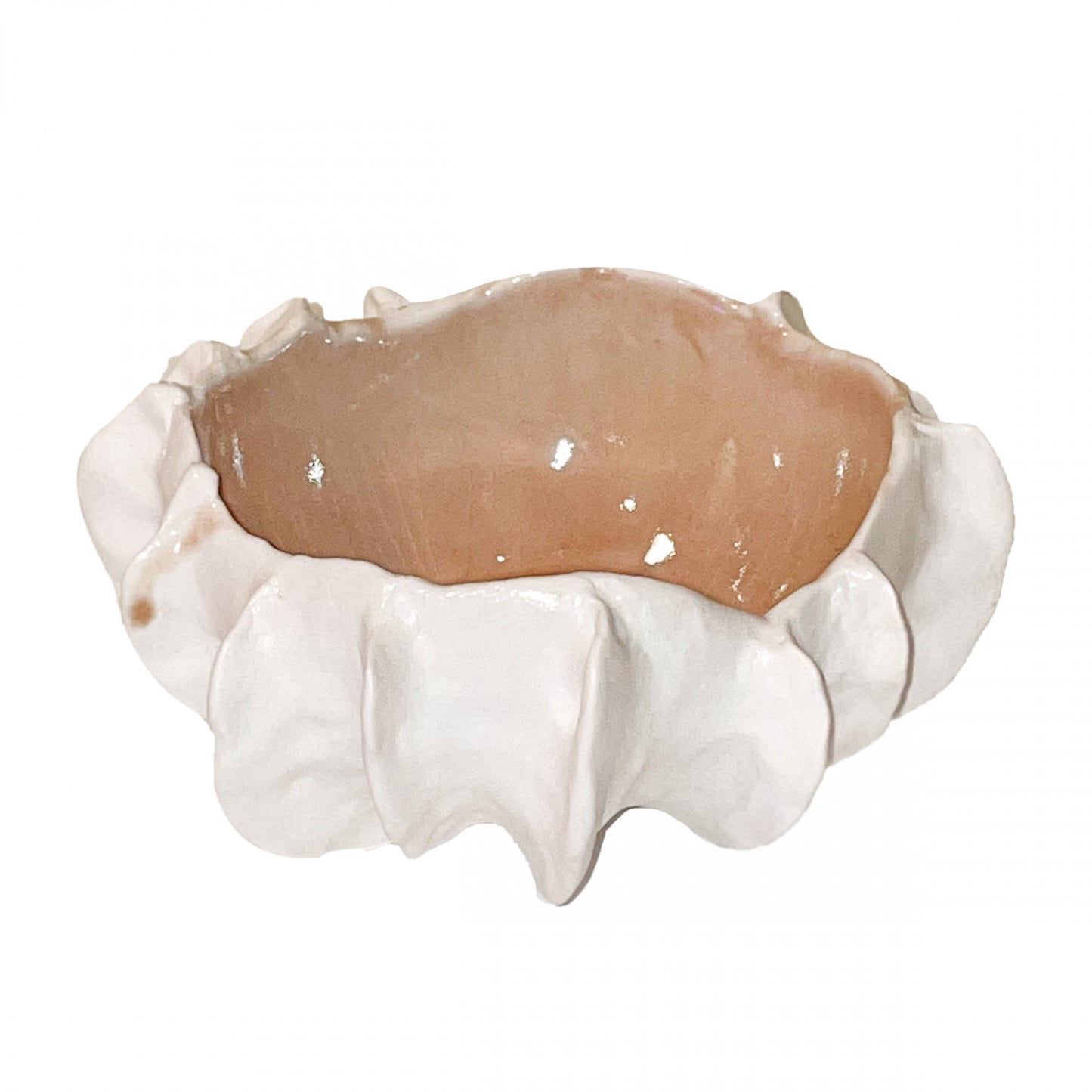 망간화석 - light&stilllife 조민제/빛과정물 - CAVA LIFE