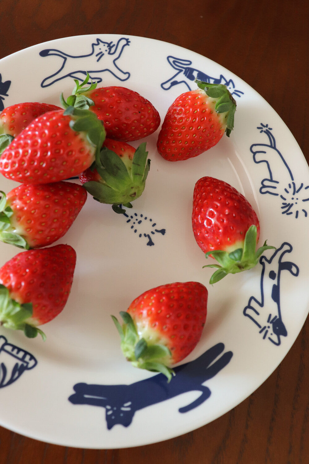 당신의 음식을 노리는 고양이들 - hozumi 호즈미 - CAVA LIFE