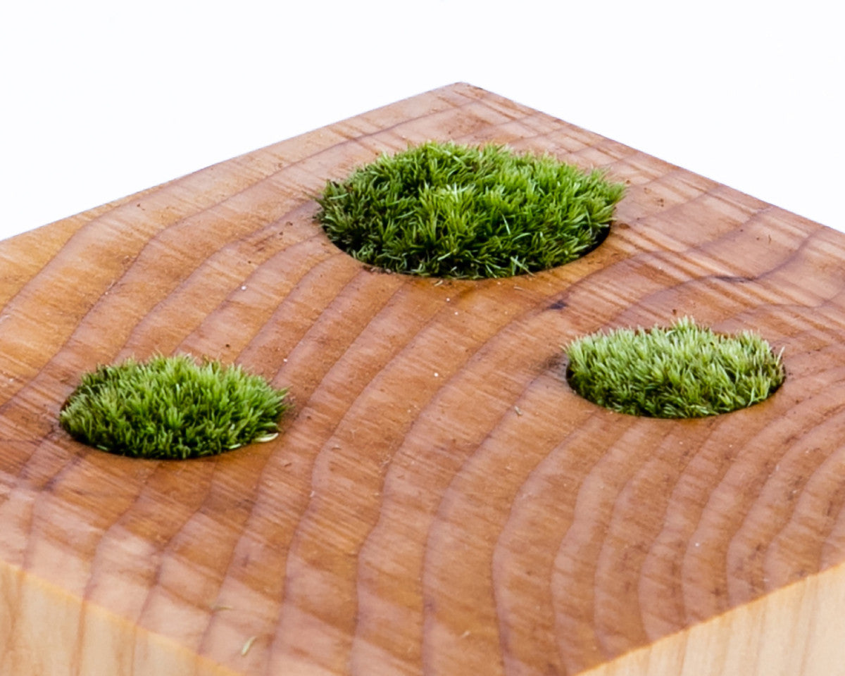 레푸기움; 자연의 단면 - 포트 3홀 타입 - Studio Hoteno 스튜디오 호테노 - CAVA LIFE