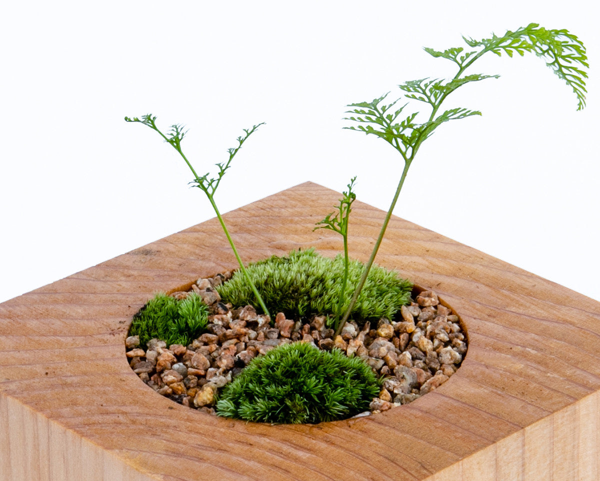 레푸기움; 자연의 단면 - 포트 1홀 타입 - Studio Hoteno 스튜디오 호테노 - CAVA LIFE