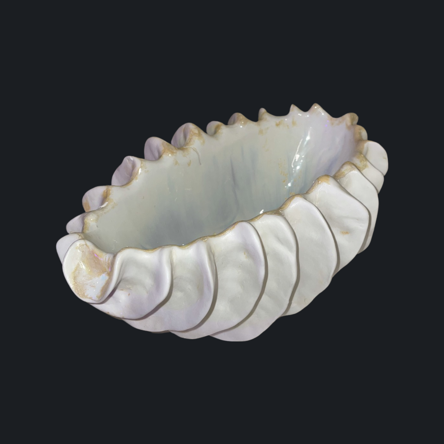 금빛화석 #5 - light&stilllife 조민제/빛과정물 - CAVA LIFE