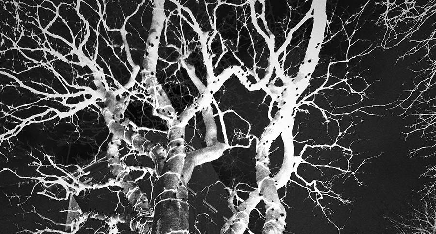 Edge Vase Artist Edition - HAHYERI No.5