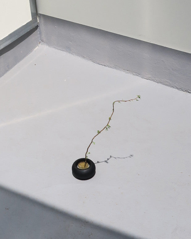 018 series -1 - Chaeyoung Lee 이채영 - CAVA LIFE