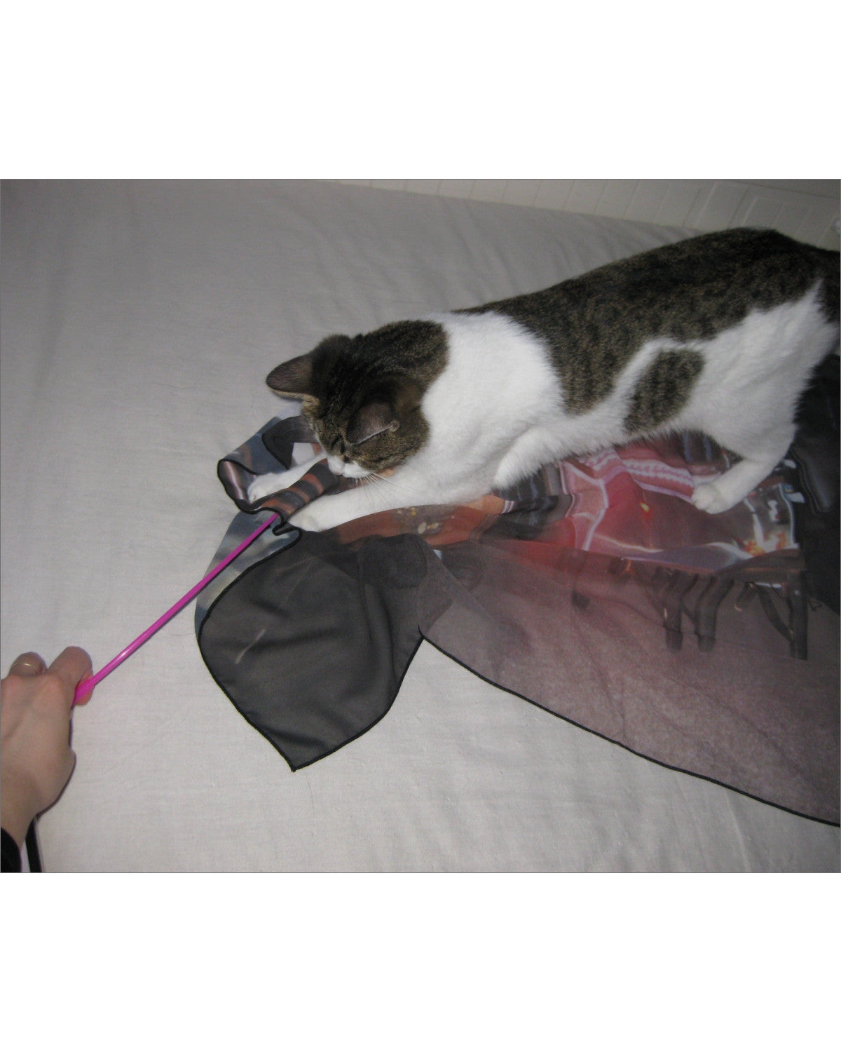 강하게 빛나는 - Gongjoongdosie 공중도시 - CAVA LIFE