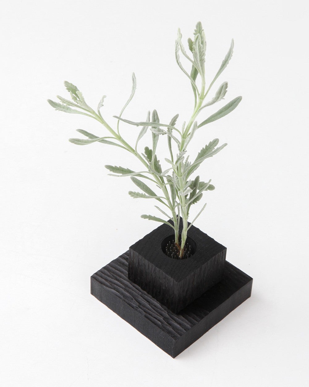 018 series -10 - Chaeyoung Lee 이채영 - CAVA LIFE