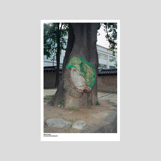 서울 나무 프린트: 82021–01–002