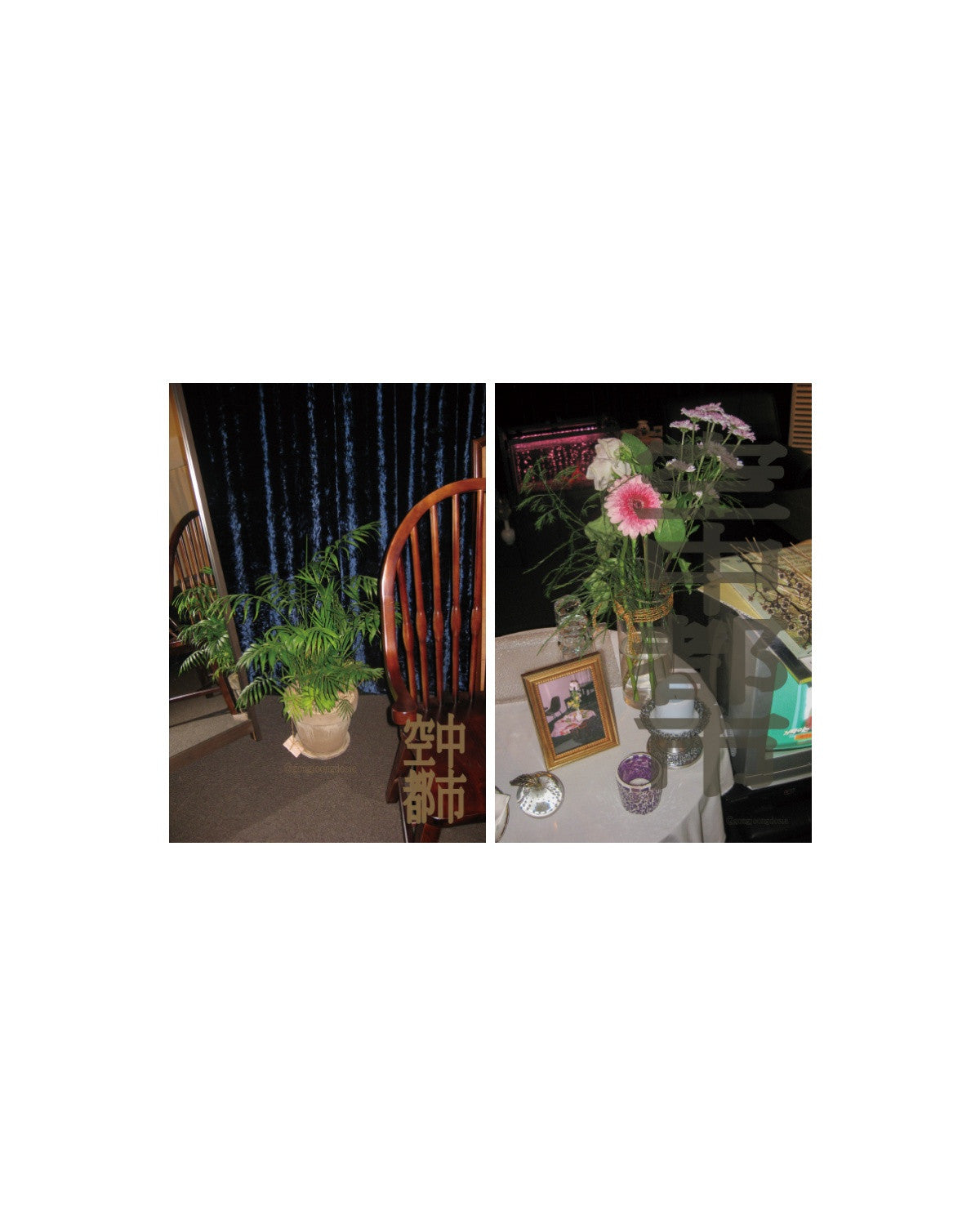 빈티지 필름 스티커 팩 - Gongjoongdosie 공중도시 - CAVA LIFE