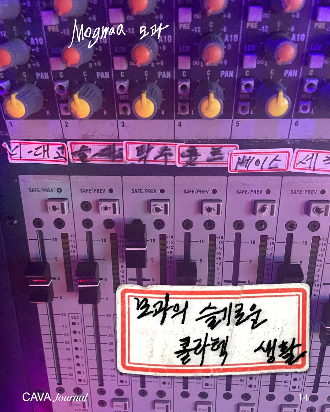 모과의 슬기로운 콜라텍 생활