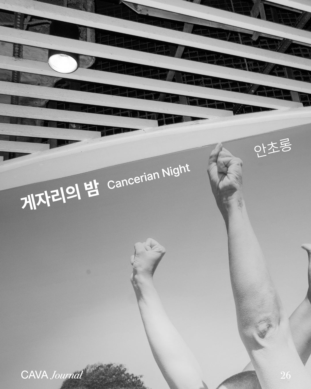 안초롱  ─ 게자리의 밤 Cancerian Night