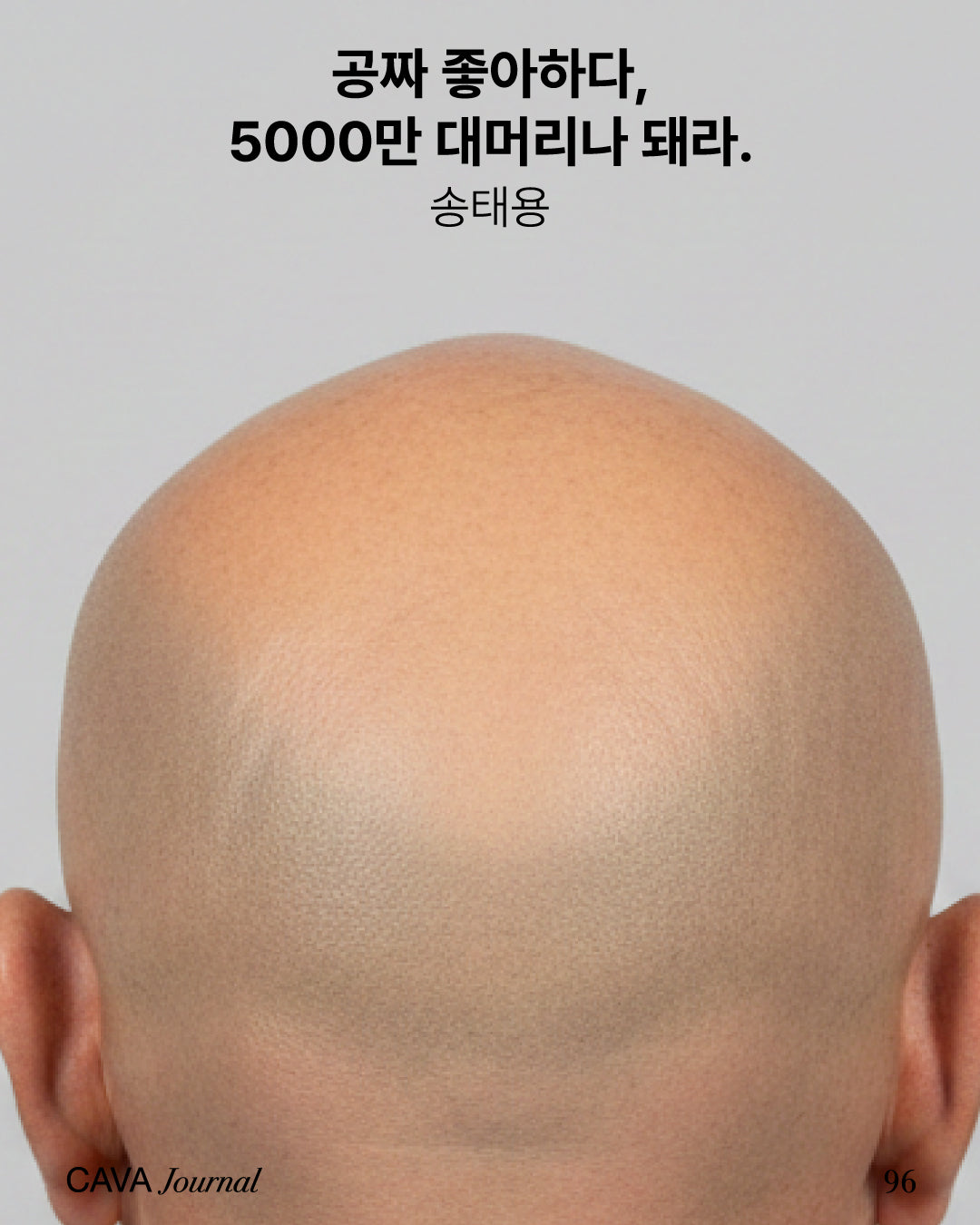 공짜 좋아하다, 5000만 대머리나 돼라.