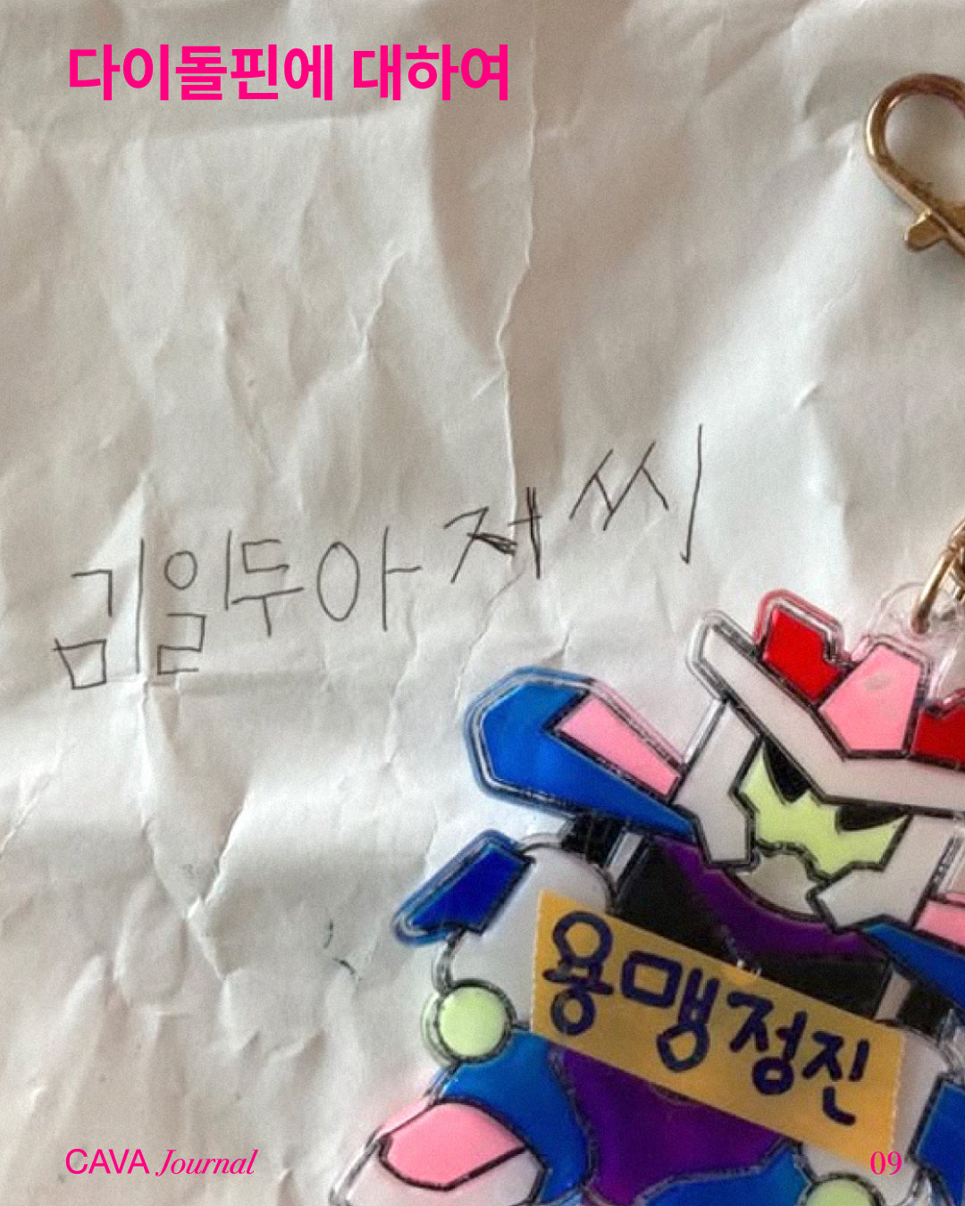 김일두 ─ 다이돌핀에 대하여