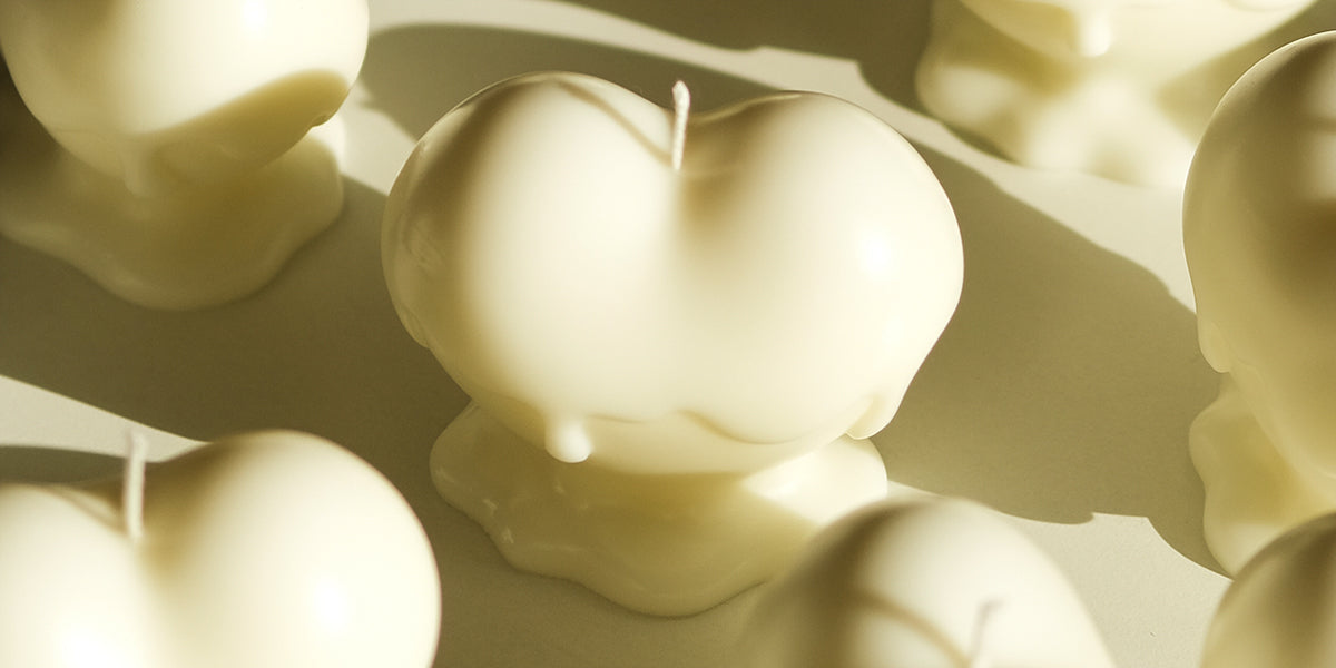 ZAAH LIBRARY 자아 라이브러리 - CAVA LIFE