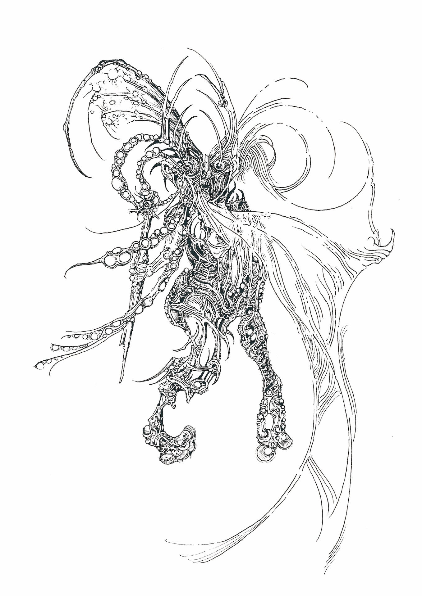 BAEBOLSU - CAVA LIFE