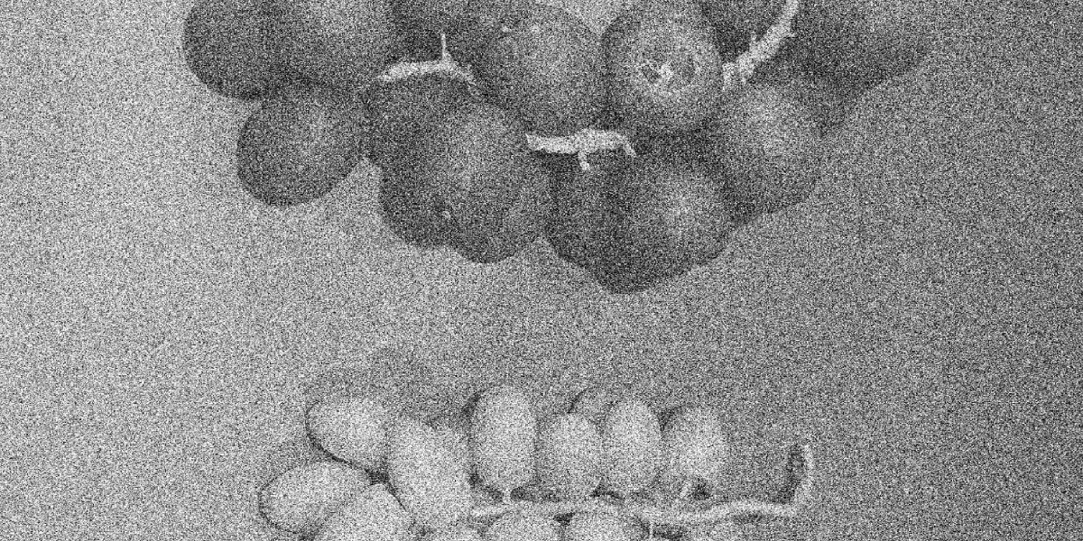 Drawing Candle 드로잉캔들 - CAVA LIFE