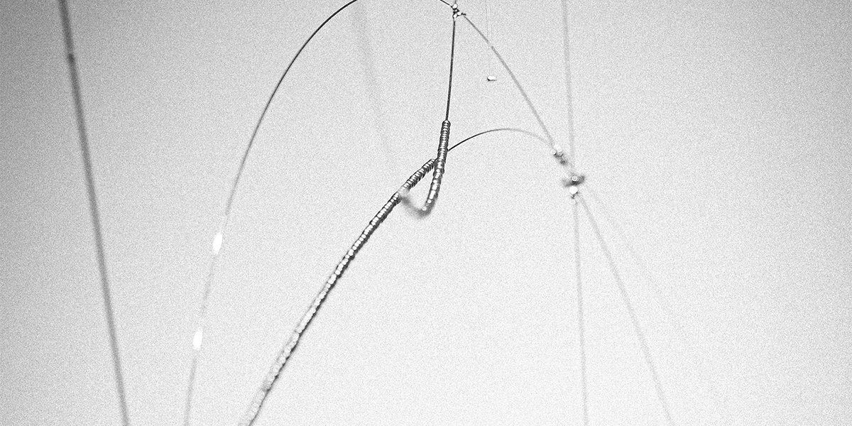 EDLE 이들 - CAVA LIFE