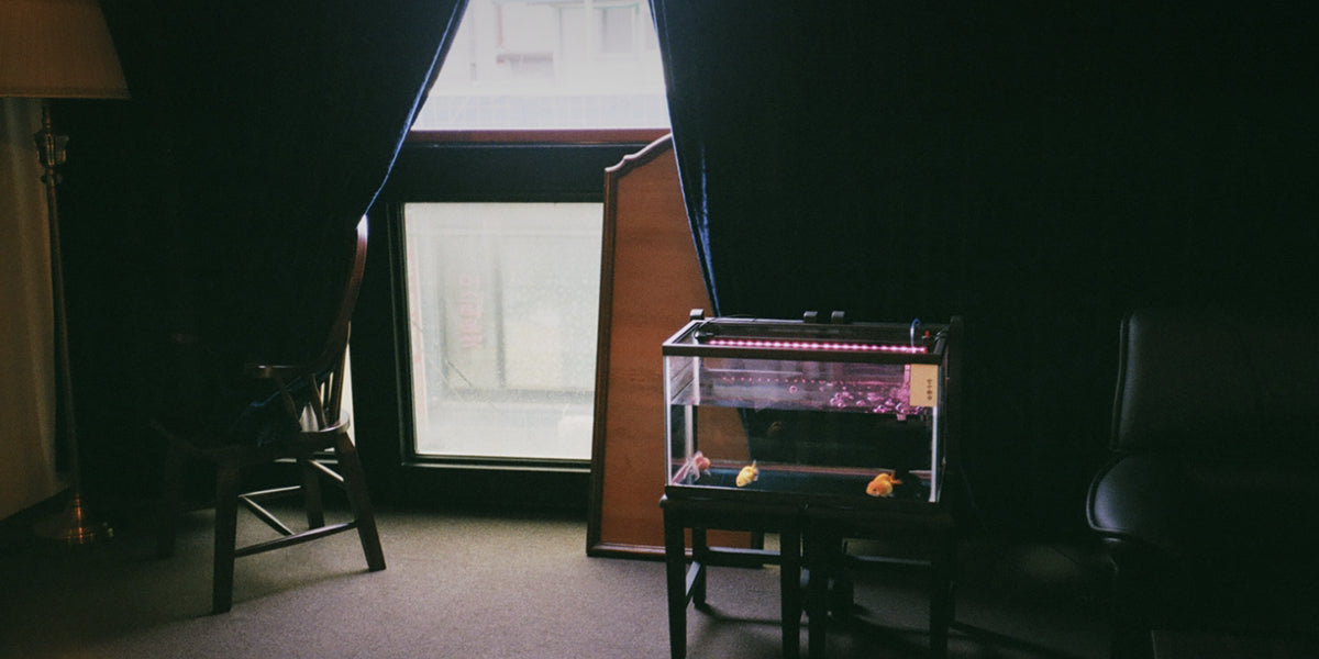 Gongjoongdosie 공중도시 - CAVA LIFE