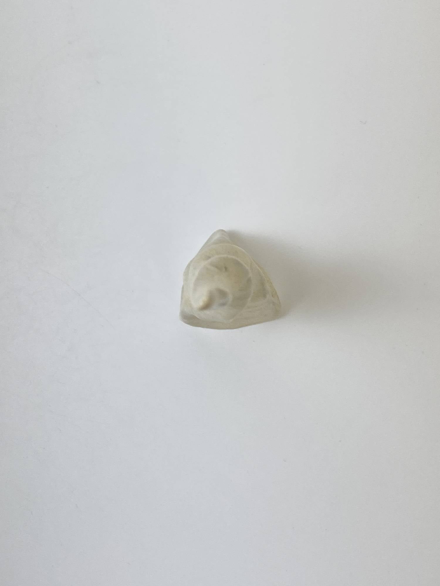 Horn of Unicorn - spiral matt yellow grey 2