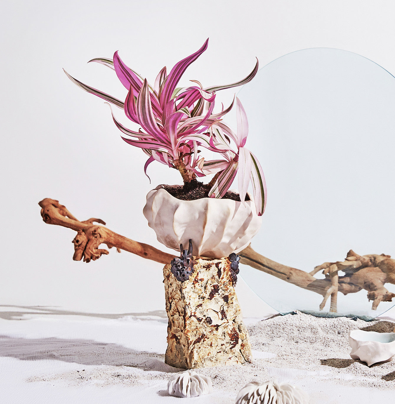 화석분 - light&stilllife 조민제/빛과정물 - CAVA LIFE