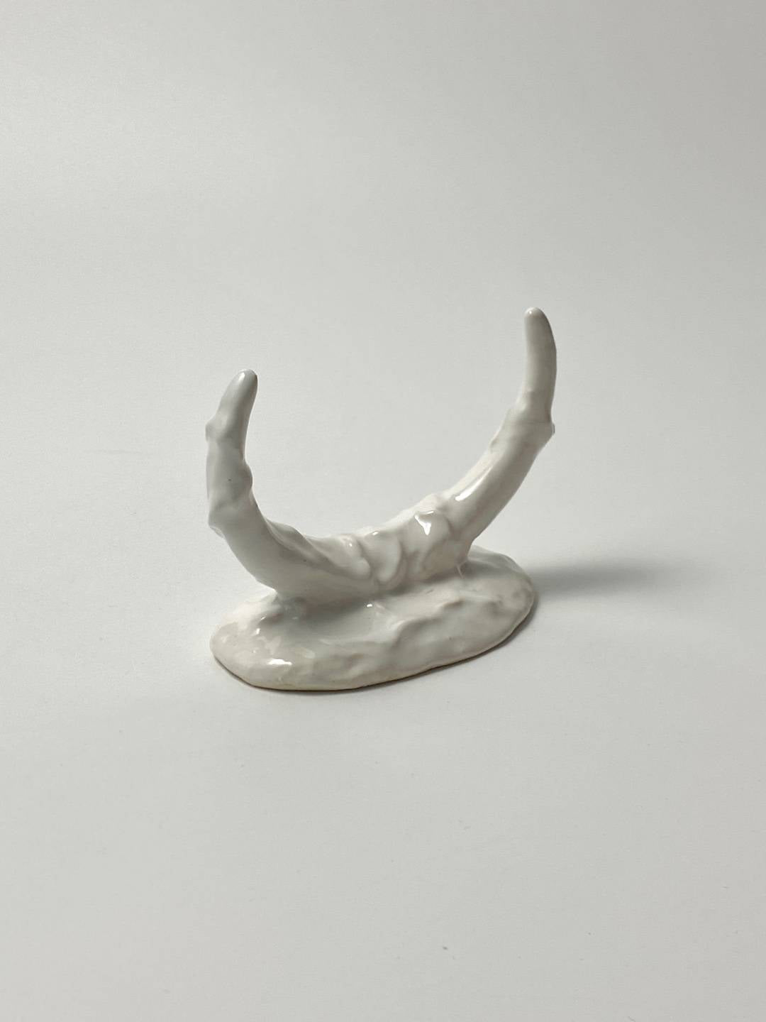 Rib of soil - glossy white