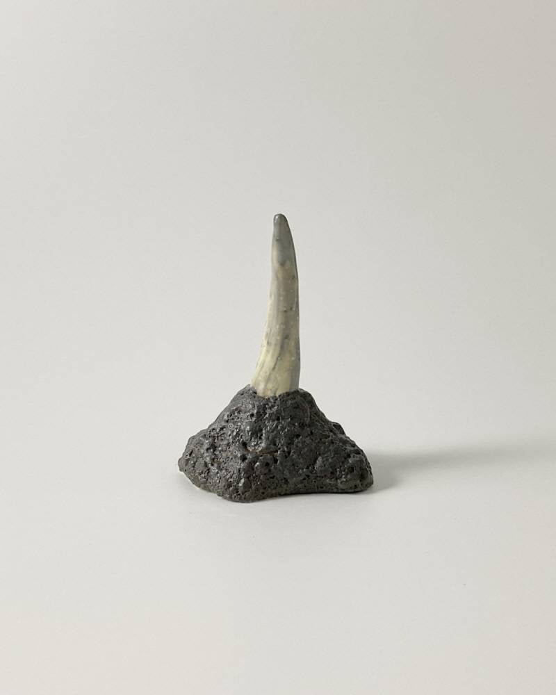 일각수의 뿔 (Lava grey) - khoikos 코이코스 - CAVA LIFE