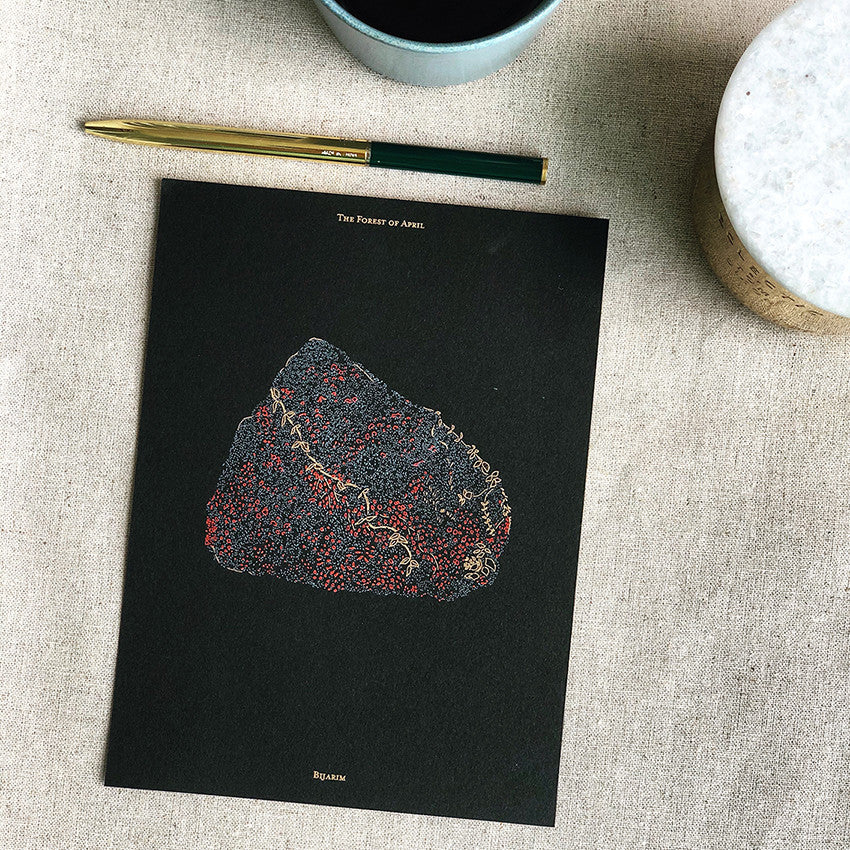 비자림 엽서 - PAPER PLATE 페이퍼플레이트 - CAVA LIFE