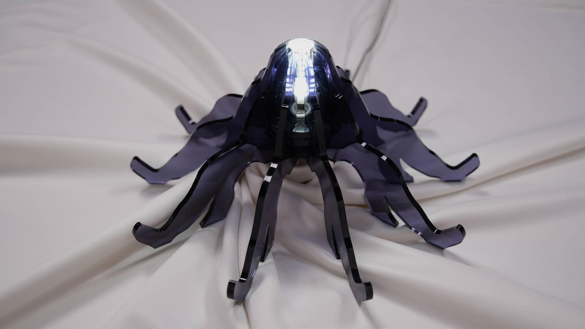 Flutter - AqpA Studio - CAVA LIFE