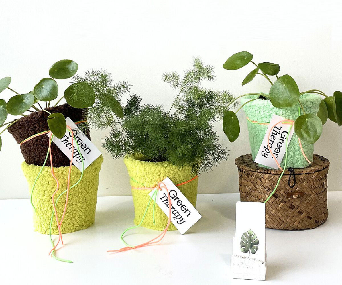 웜허그팟 - GreenTherapy - CAVA LIFE