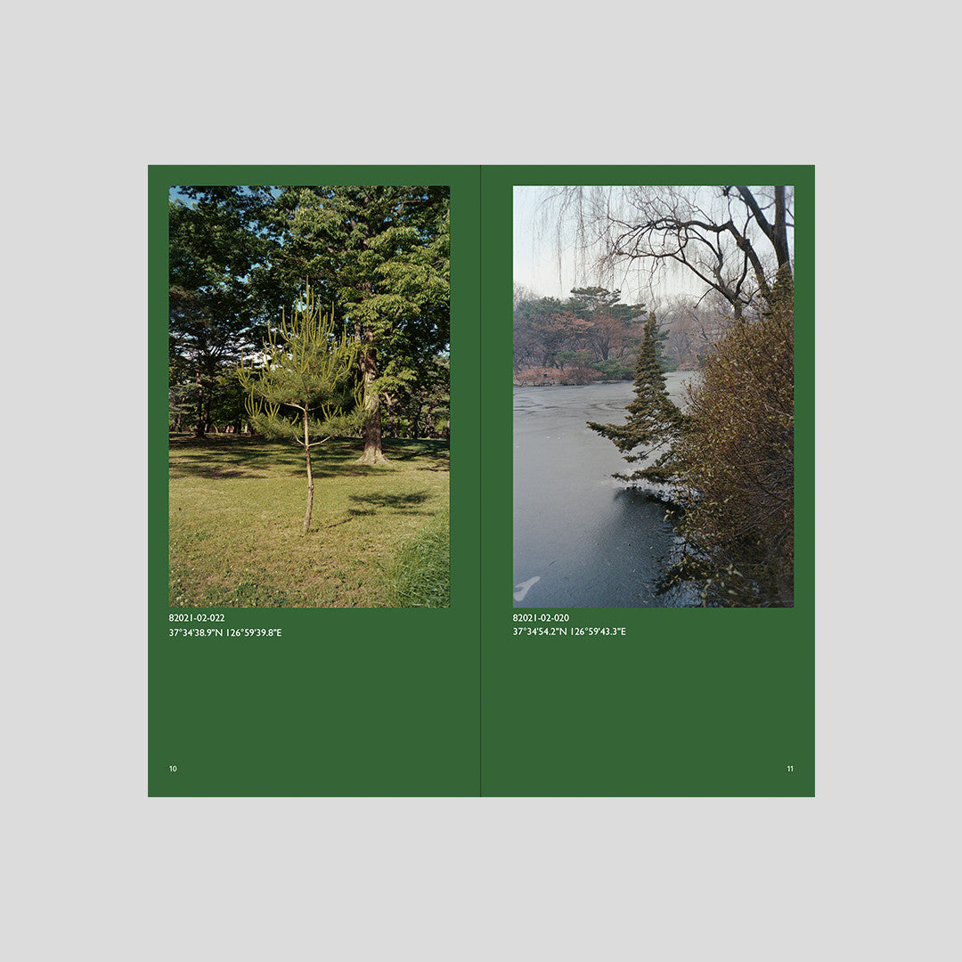 서울 나무 - Jeon Seeyoung 전시영 - CAVA LIFE