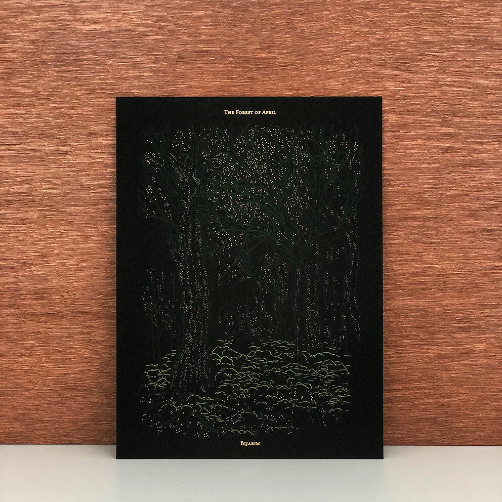 비자림 엽서 - PAPER PLATE 페이퍼플레이트 - CAVA LIFE