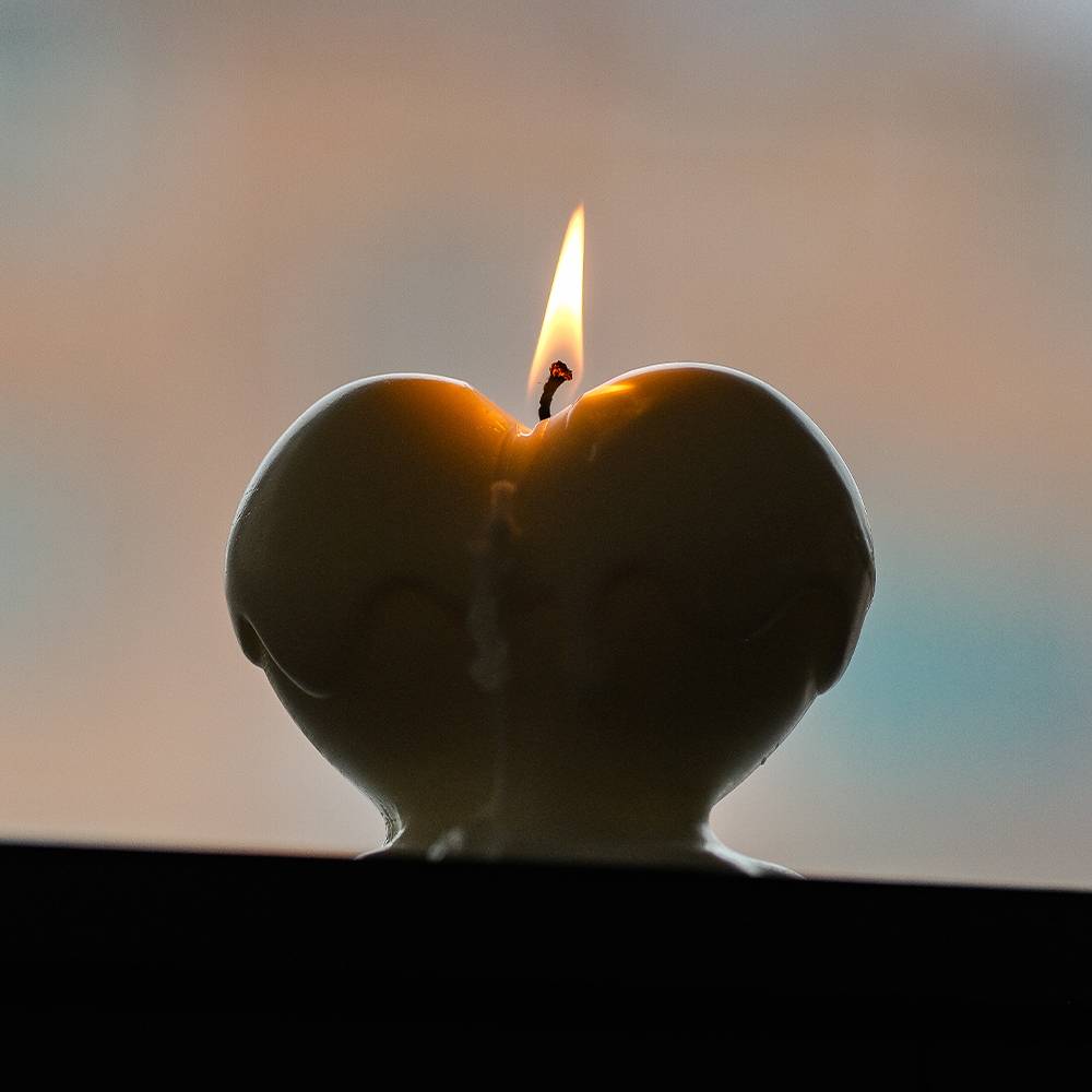 퓨어 PURE - ZAAH LIBRARY 자아 라이브러리 - CAVA LIFE