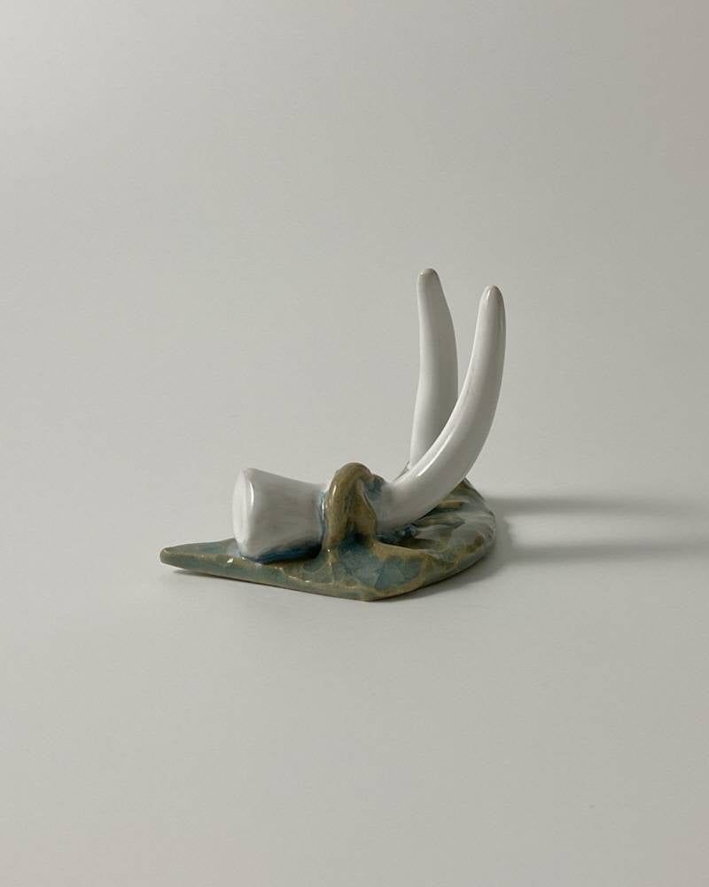 대지 위 두개의 뿔 (Glacier) - khoikos 코이코스 - CAVA LIFE