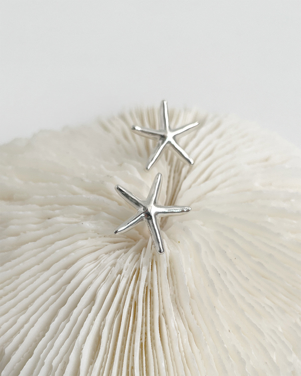 starfish stud earring - Next Green Door - CAVA LIFE