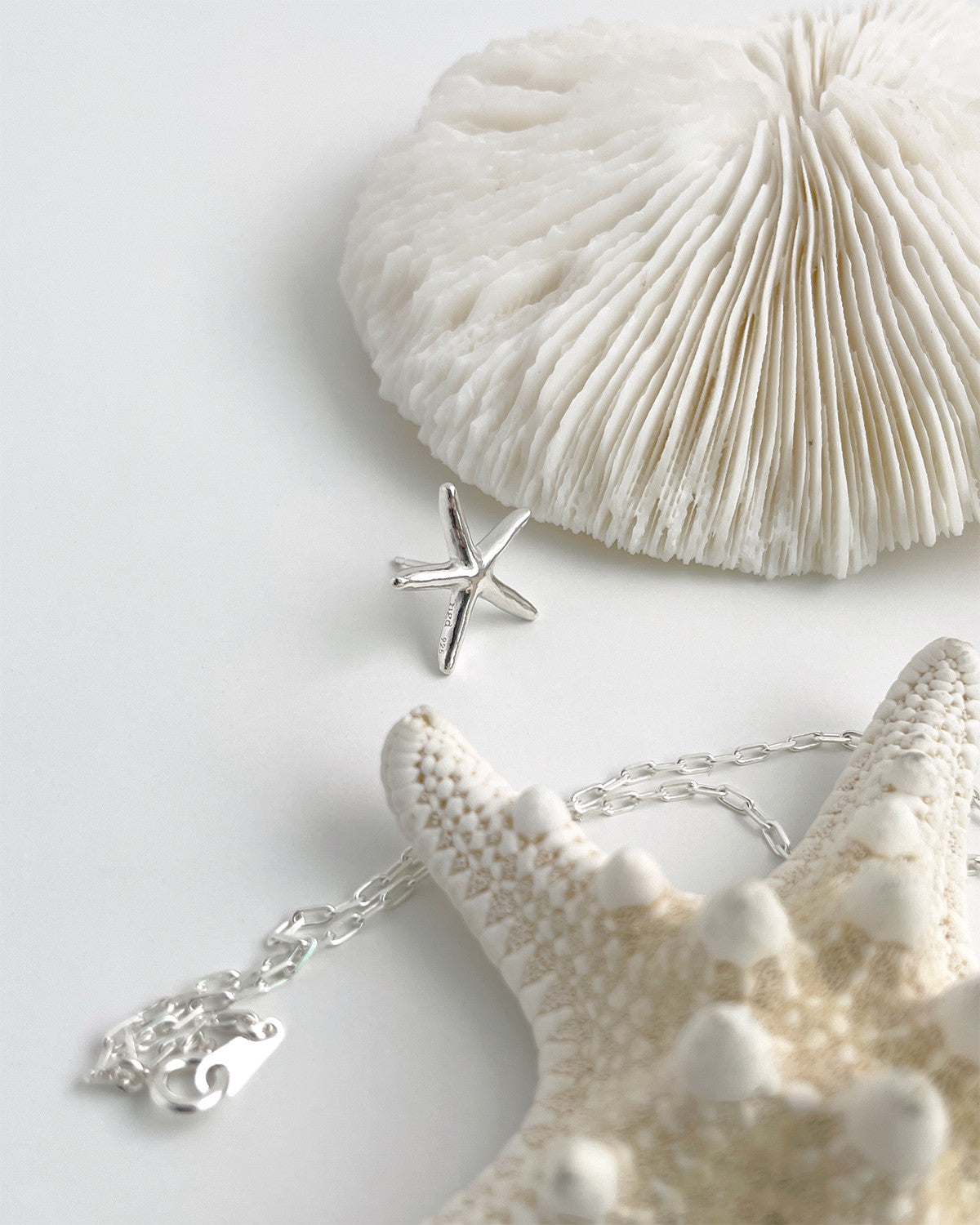 starfish stud earring - Next Green Door - CAVA LIFE