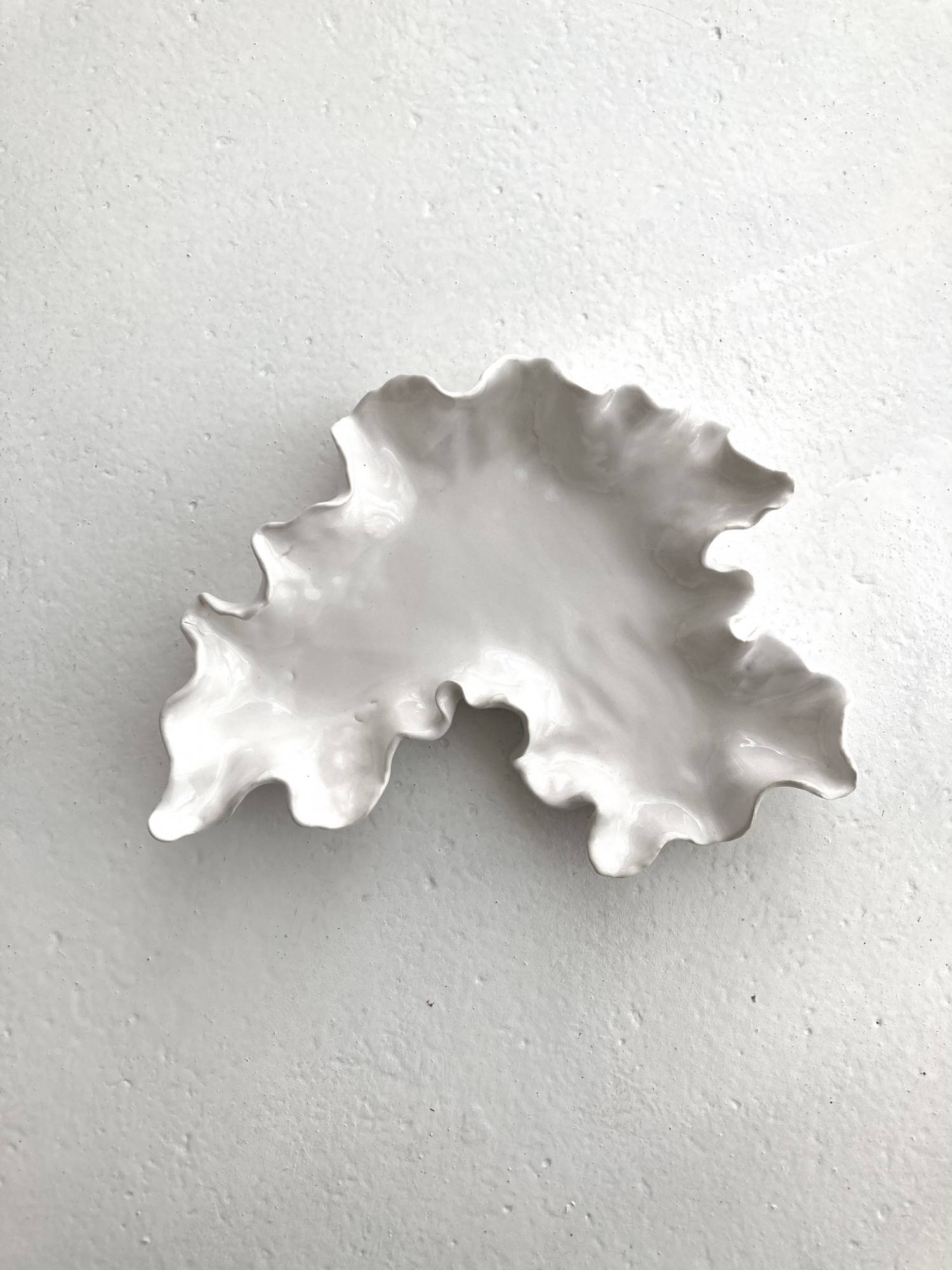 Shell plate - s'leoun 스런 - CAVA LIFE