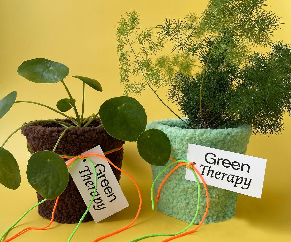 웜허그팟 - GreenTherapy - CAVA LIFE