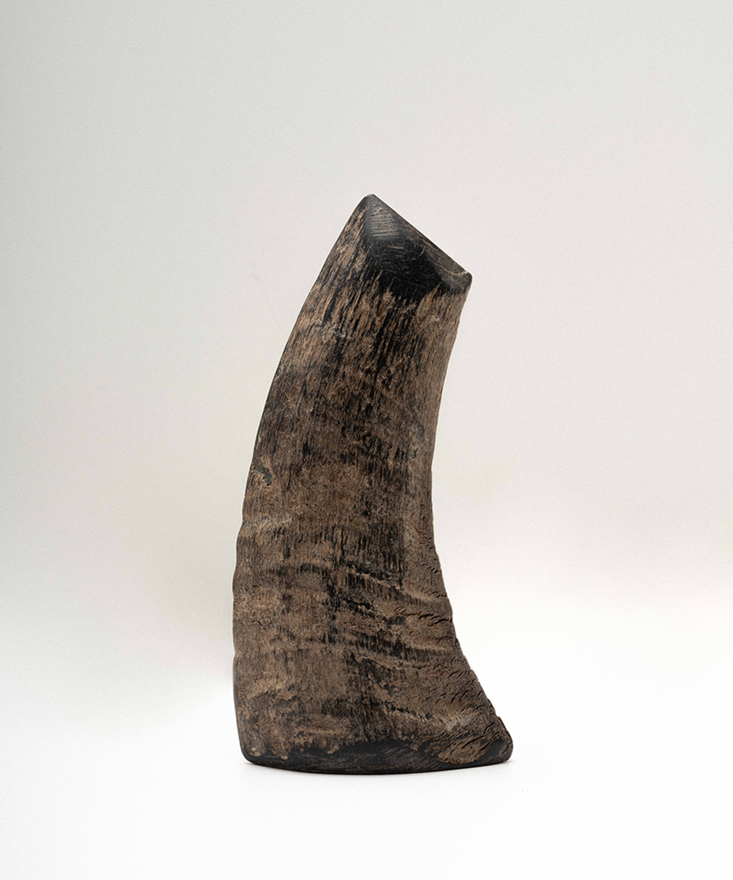 고목 인센스 - komok 고목 - CAVA LIFE