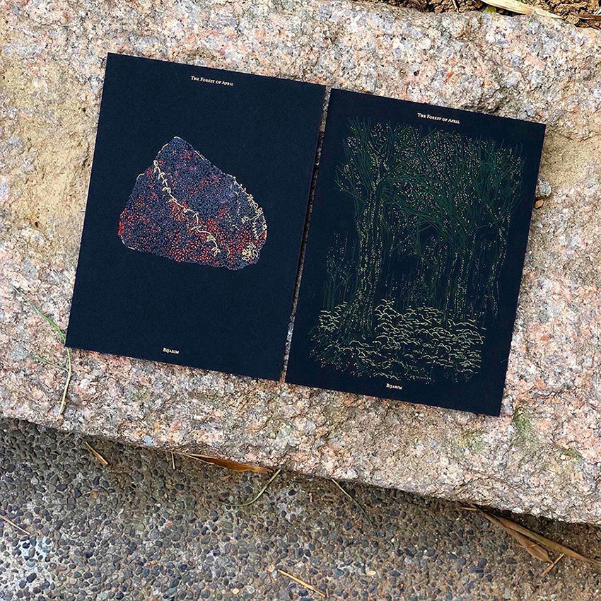 비자림 엽서 - PAPER PLATE 페이퍼플레이트 - CAVA LIFE