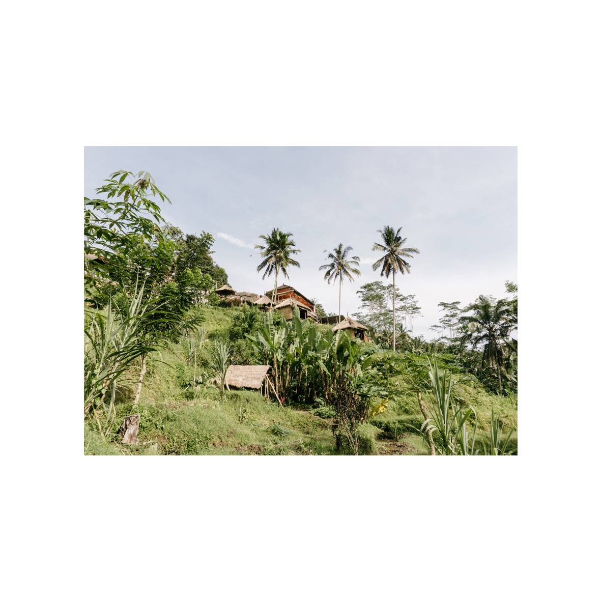 Tegalalang 포스터