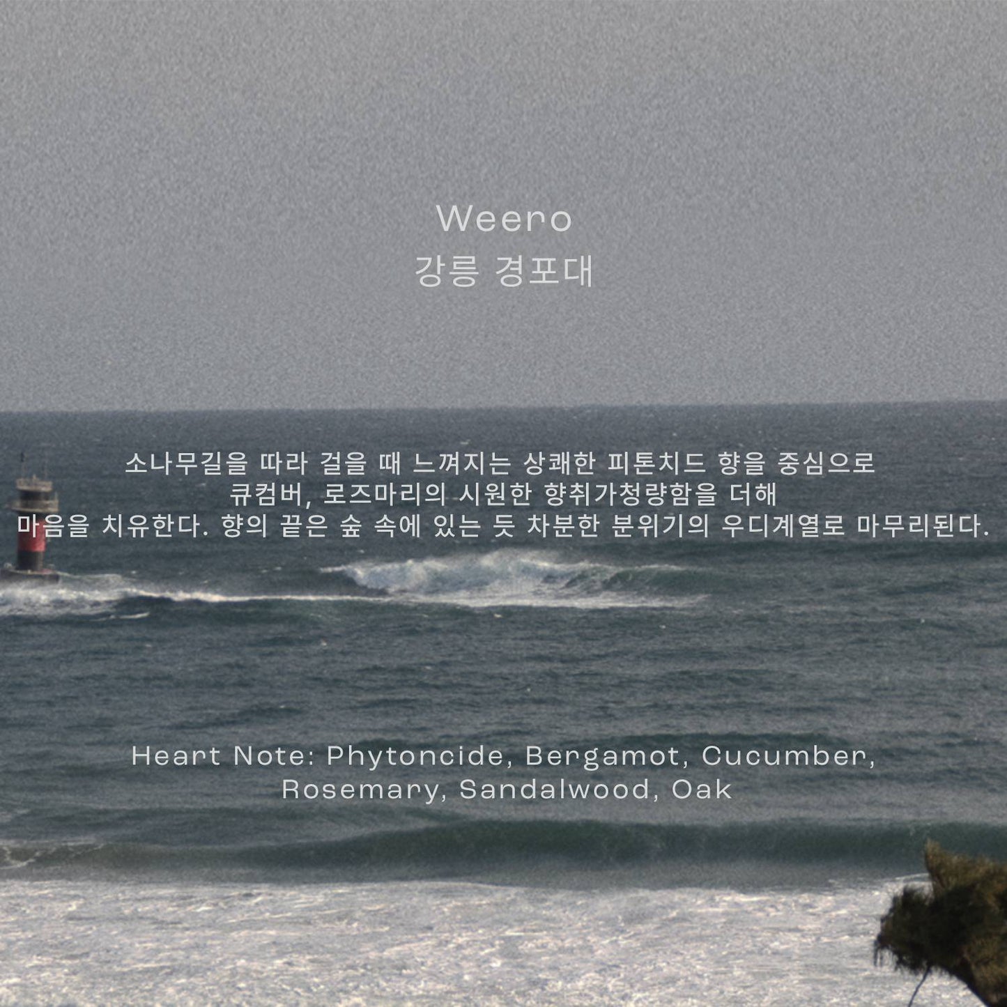 Yeonmo_Space Perfume 100ml