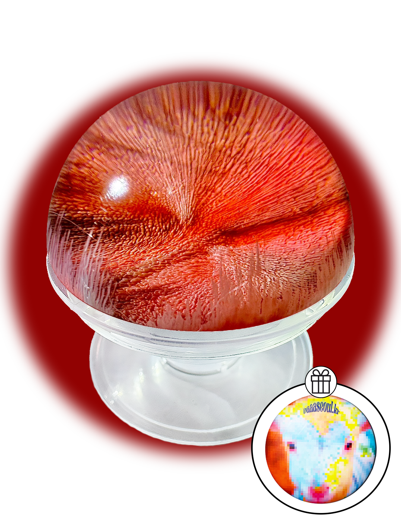 [선물옵션][Baaatok] Tropical Milkway_Coral&Brown