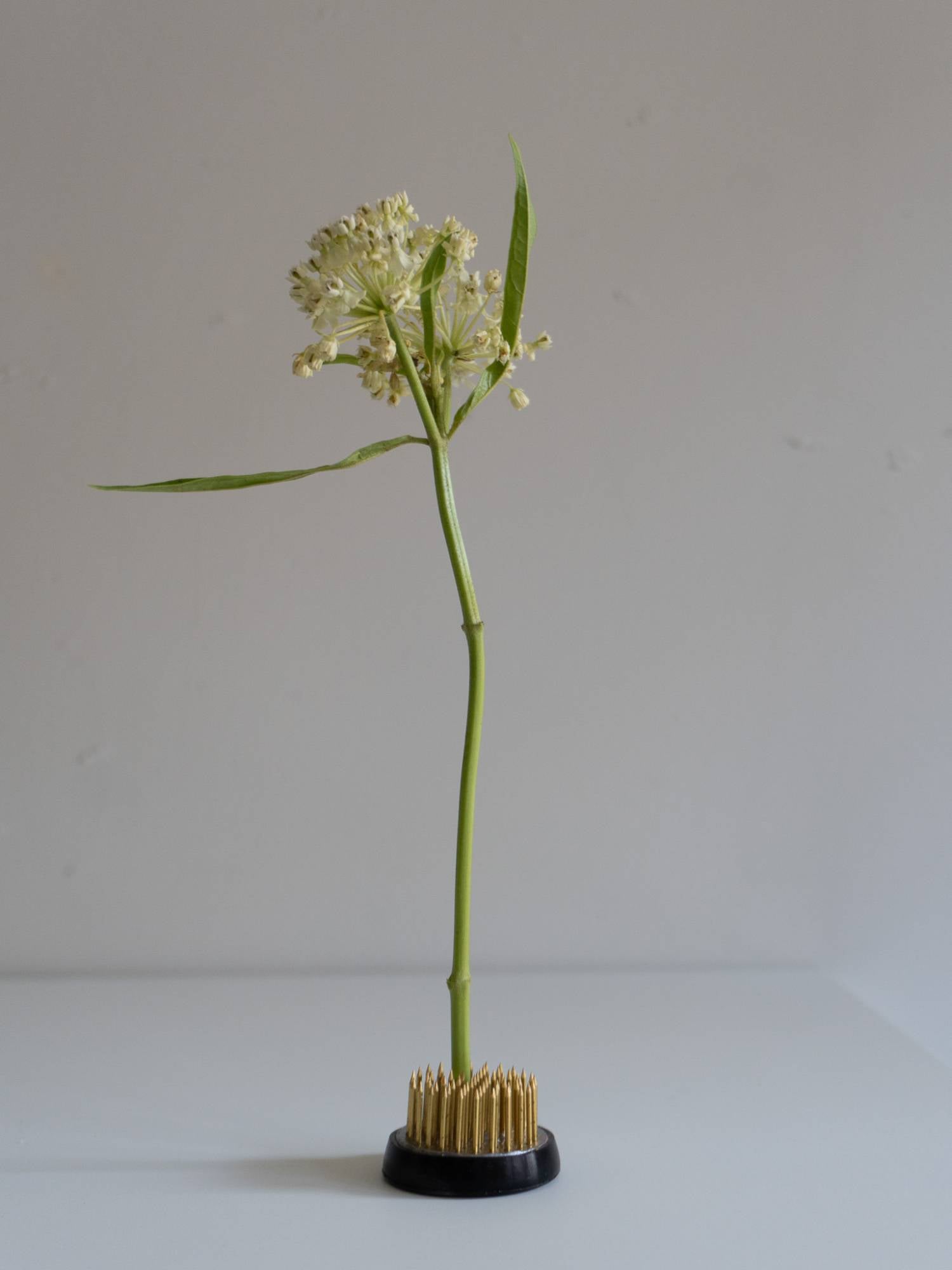 낮은 커비 화병