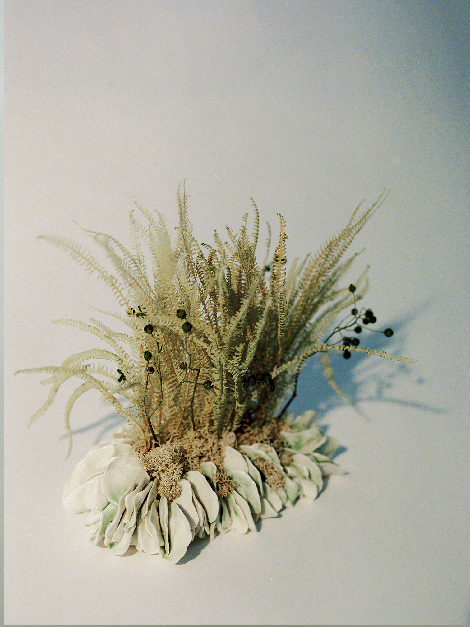 [모립X빛과정물] 우거진 섬(Lush)