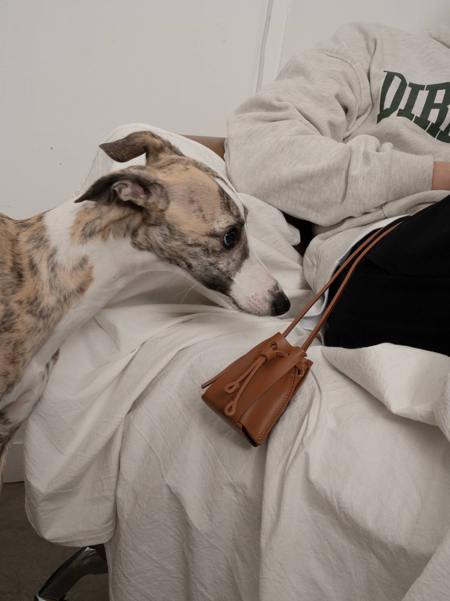 TETRA 493 NANO (BROWN)