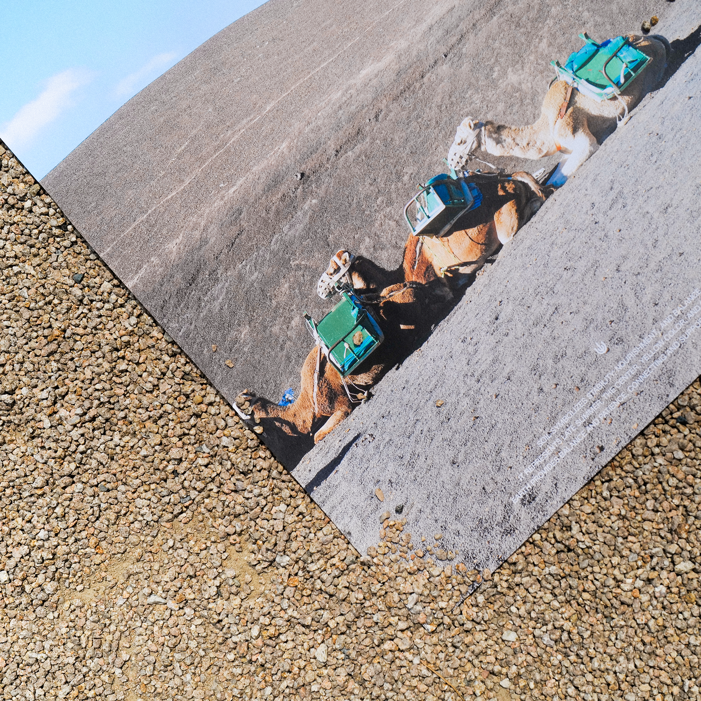 토 사주 개운 풍경 포스터 / Earth supports you